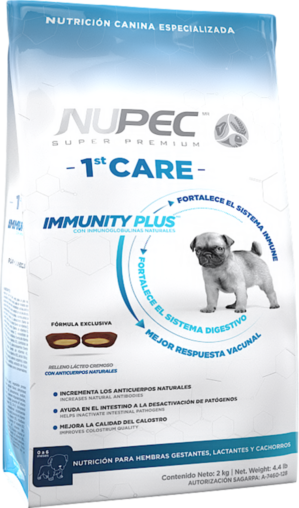 NUPEC 1st CARE