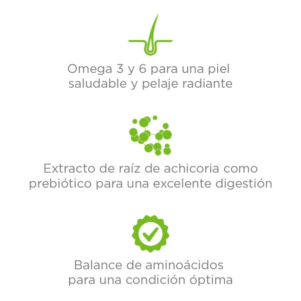 ADULT MAINTENANCE - Image 2