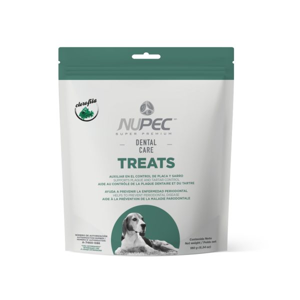 TREAT DENTAL CARE