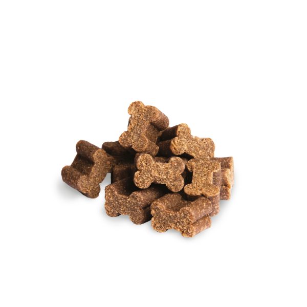 TREAT TRAINING - Image 3
