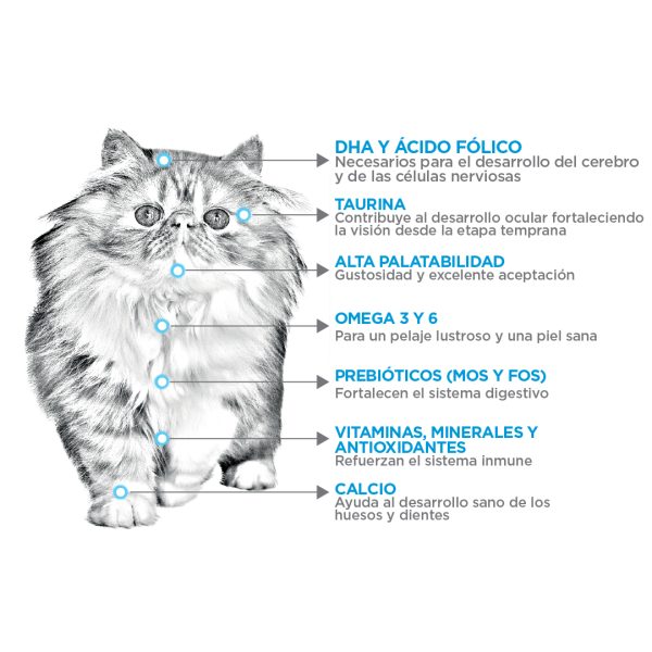 NUPEC FELINO KITTEN - Image 2