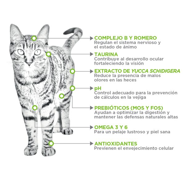 NUPEC FELINO ADULT - Image 3