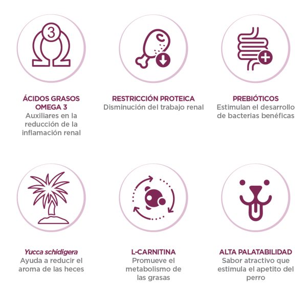 NUPEC RENALCARE - Image 3