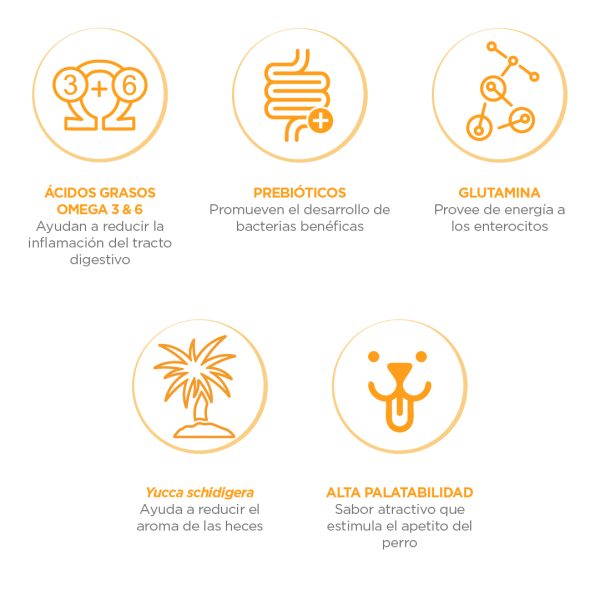 NUPEC DIGESTIVE HEALTH - Image 3